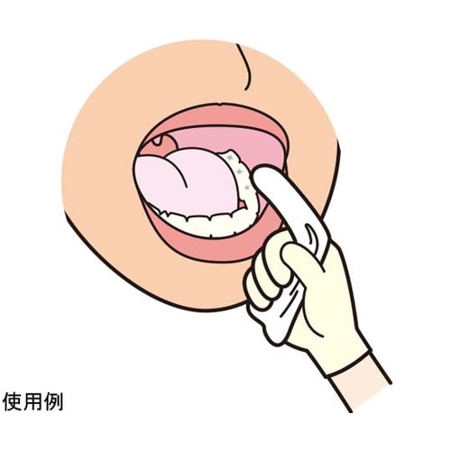 ピレン口腔ケアウエットシート 1箱(10