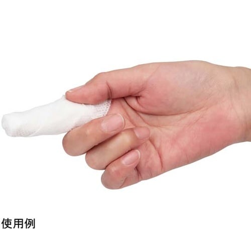 ピレン口腔ケアウエットシート 1箱(10