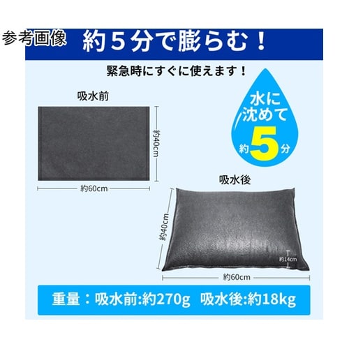 吸水式簡易土のう 1袋(10枚入) KO