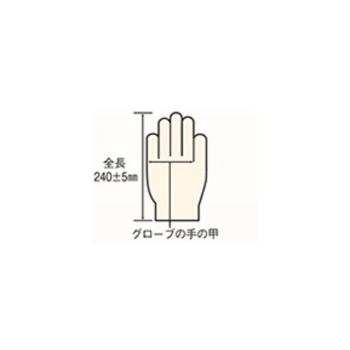 ファーストグローブ(粉無)L 1ケース(