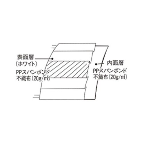 オーバーヘッドマスク2W 1ケース(10