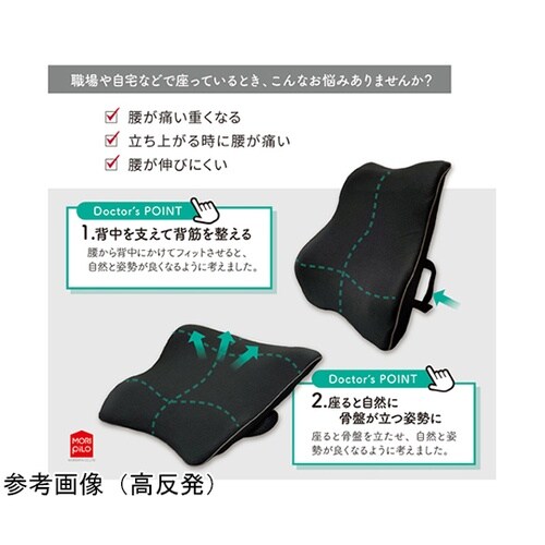 背中と腰を考えたクッション 低反発 レッ