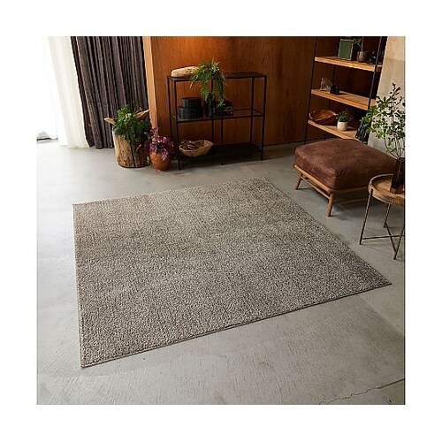 ラグ ソル 190×240cm グレージ