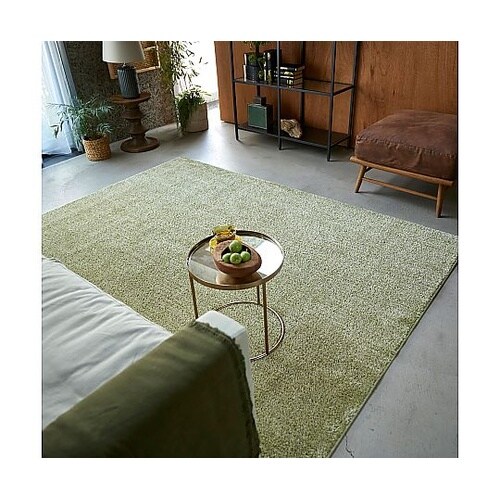 ラグ ルフレ 190×240cm グリー