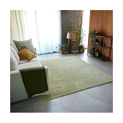 ラグ ルフレ 190×240cm グリー