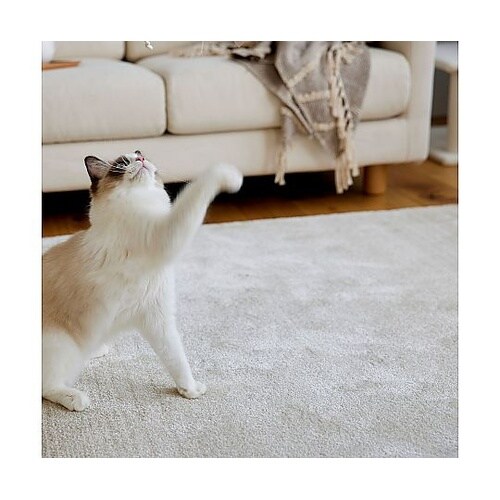 ラグ マール2 130×190cm アイ