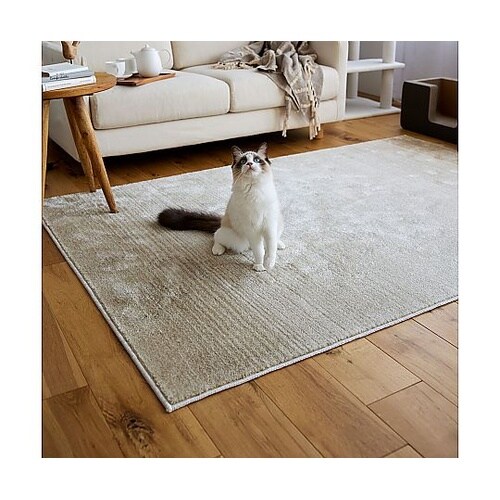 ラグ マール2 130×190cm アイ