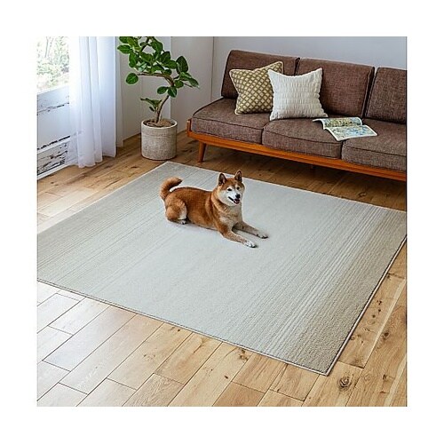 ラグ マール2 190×190cm アイ