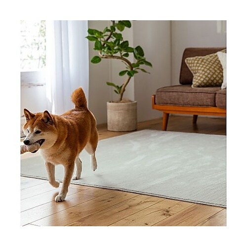 ラグ マール2 190×190cm アイ