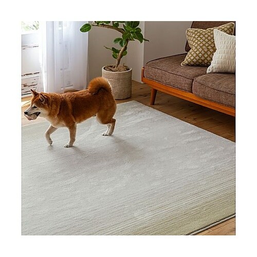 ラグ マール2 190×190cm アイ