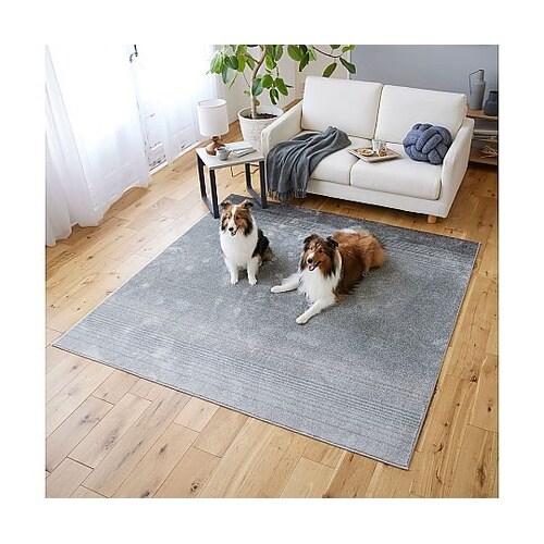 ラグ マール2 190×190cm ダー