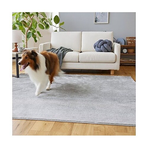 ラグ マール2 190×190cm ダー