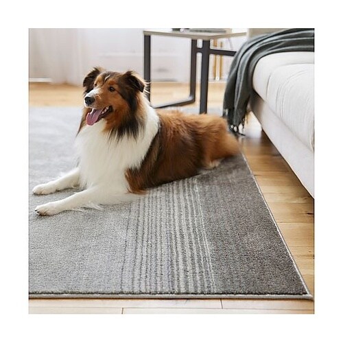 ラグ マール2 190×190cm ダー