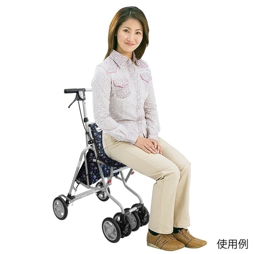 クラシックガーデンBK サニーウォーカー