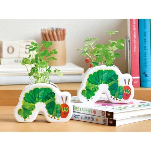 陶器ポットガーデン ストロベリー