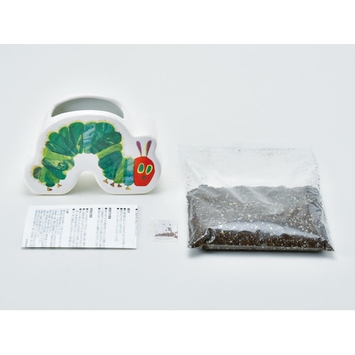 陶器ポットガーデン ストロベリー