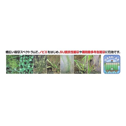 農薬 ドリフ1キロ粒剤
