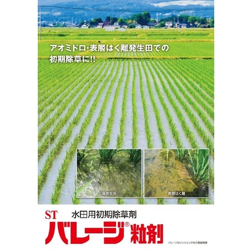 農薬 バレージ粒剤 3kg