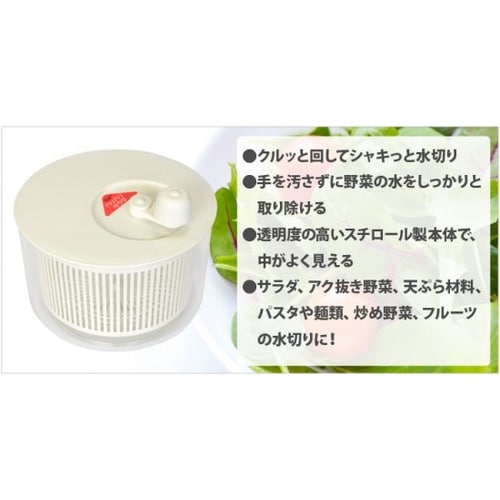 山研 バリバリサラダ