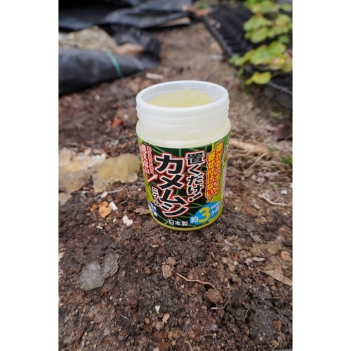 カメムシニゲール 置き型