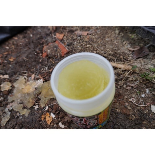 カメムシニゲール 置き型