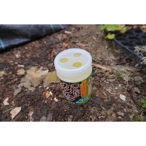 カメムシニゲール 置き型