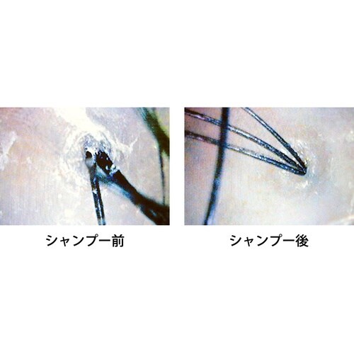 シャンプー&ブラシ 小判型