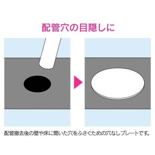 ビニールプレート 穴無80 10P