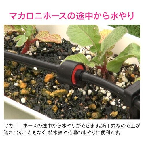 滴下ニップル マカロニドリップ