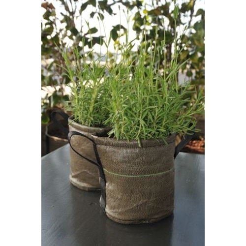 BACSAC BC−101 ポット 3L