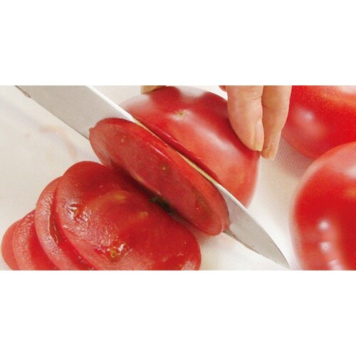 中村孝明 ステンレス万能包丁