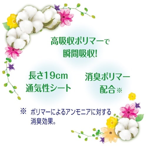 CN コットン少量用24枚#53002