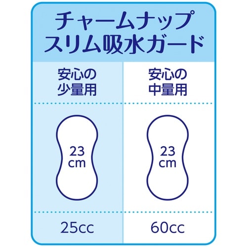 スリム吸水ガード安心ノ少量用