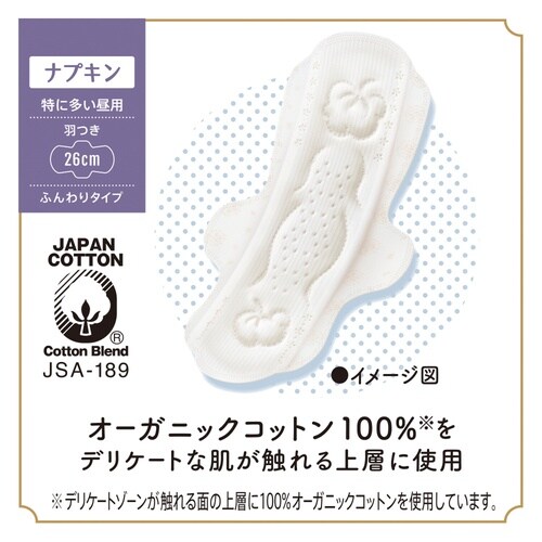 はだおもいOC 260羽付