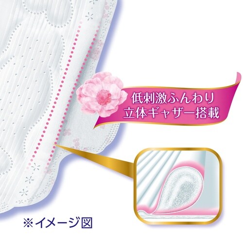 はだおもい多い昼用羽付