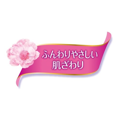 はだおもい多い夜用