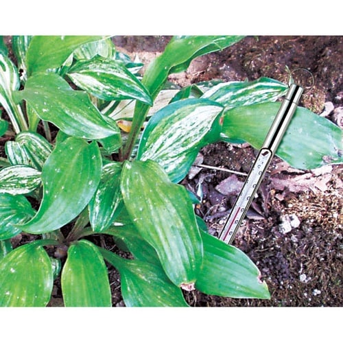 棒状温度計バラアルコール