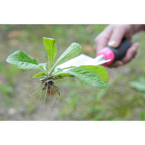 SV−6131 頑丈根切りスコップ