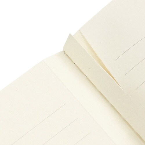 CBD6310 リビエラ ボールド A6