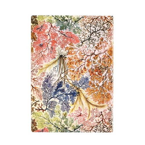 ペーパー FB9904−8 アネモネ ミディ