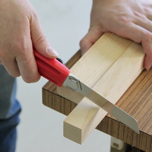 小さくても一人前一般