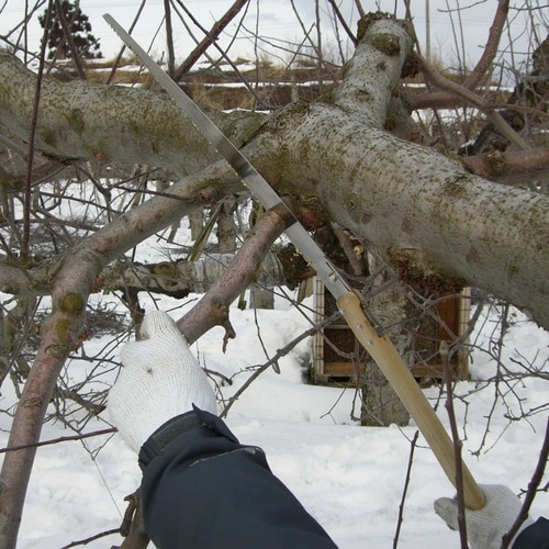 1104 恵み 厚刃 330 折込