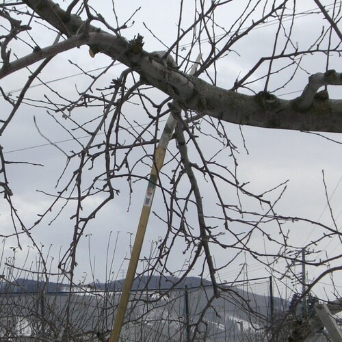 1135 恵み 厚刃 360 長柄