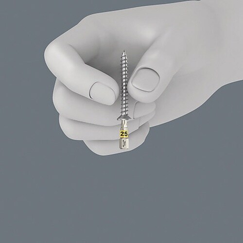 トルクスビット 差込6.35 TX40 25mm