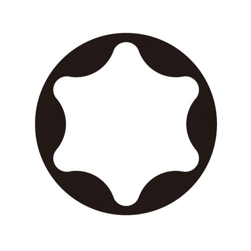 100本入 トルクスビット 差込6.35 TX40