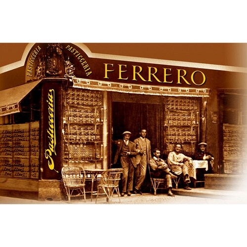 エヌアイエスフーズサービス ロシェ T−3 37.