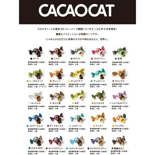 DADACA CACAOCAT缶ミックスシルバー