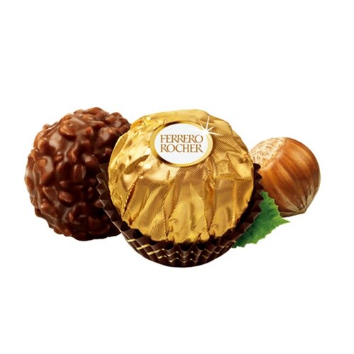 エヌアイエスフーズサービス ロシェ T−8 100