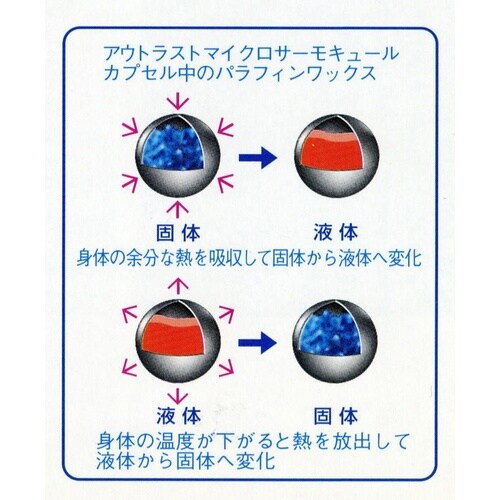 冷感アウトラストパイプ枕(WH)