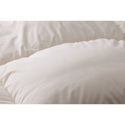 ボディメモリーオーバーレイ